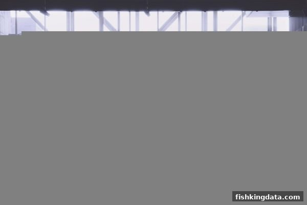 捕鱼王深度解读：ERC20充值彩票的诚信隐患与防范全攻略