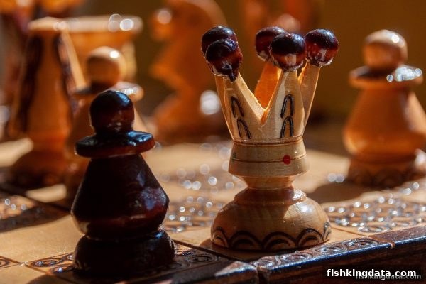 棋牌赛事礼仪与规章的核心地位——捕鱼王视角下的全面解析