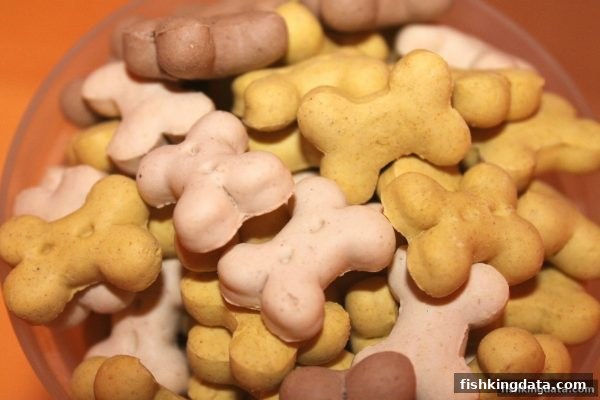 捕鱼王新手必看：首存活动与节日红包领取全攻略