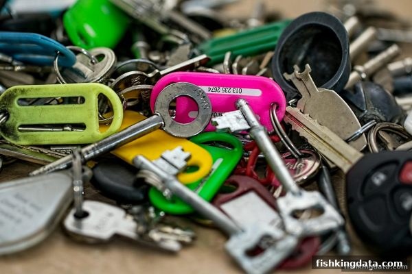 捕鱼王推荐：极速时时彩平台信任构建全攻略