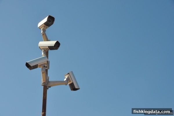 捕鱼王深度警示：太阳城网络平台的违法真相与避坑指南