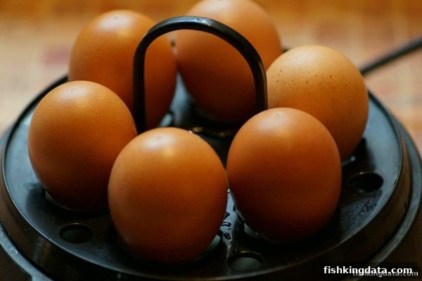 捕鱼王：跨平台游戏体验的全面革新与性能优化